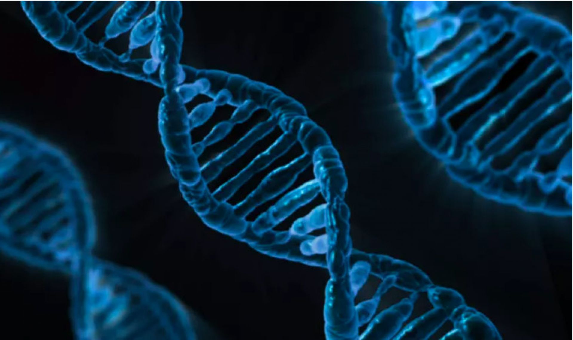 DNA structure