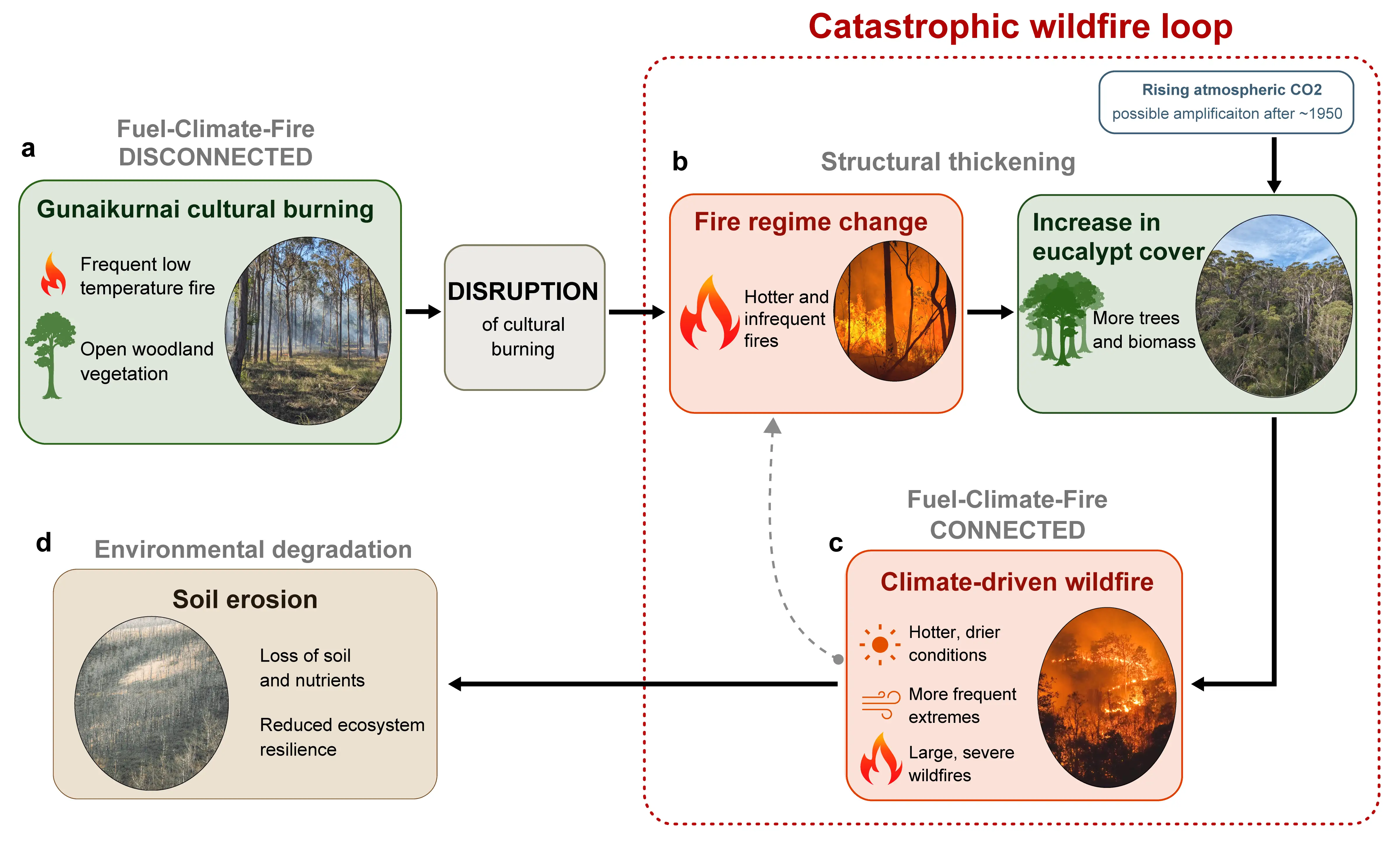 A graphic showing a flowchart of the catastrophic bushfire loop