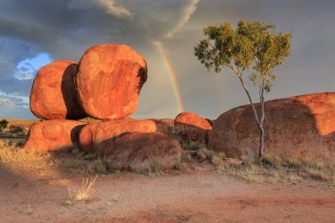 Embracing queer Indigenous Australia thumbnail image