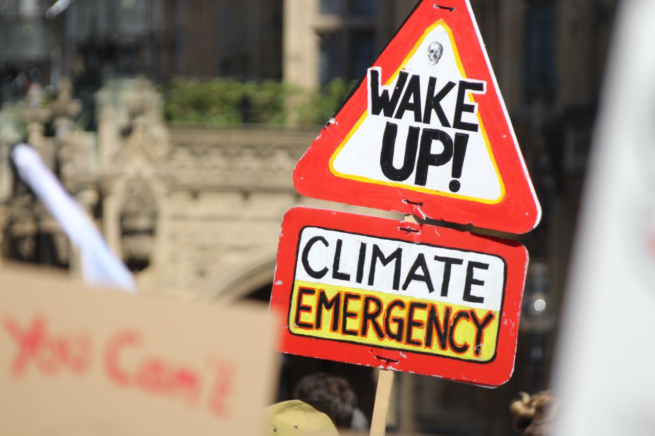 The local governments declaring a climate emergency thumbnail image
