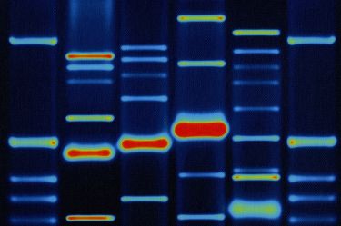Who is paying the price of whole-genome sequencing in cancer care? thumbnail image