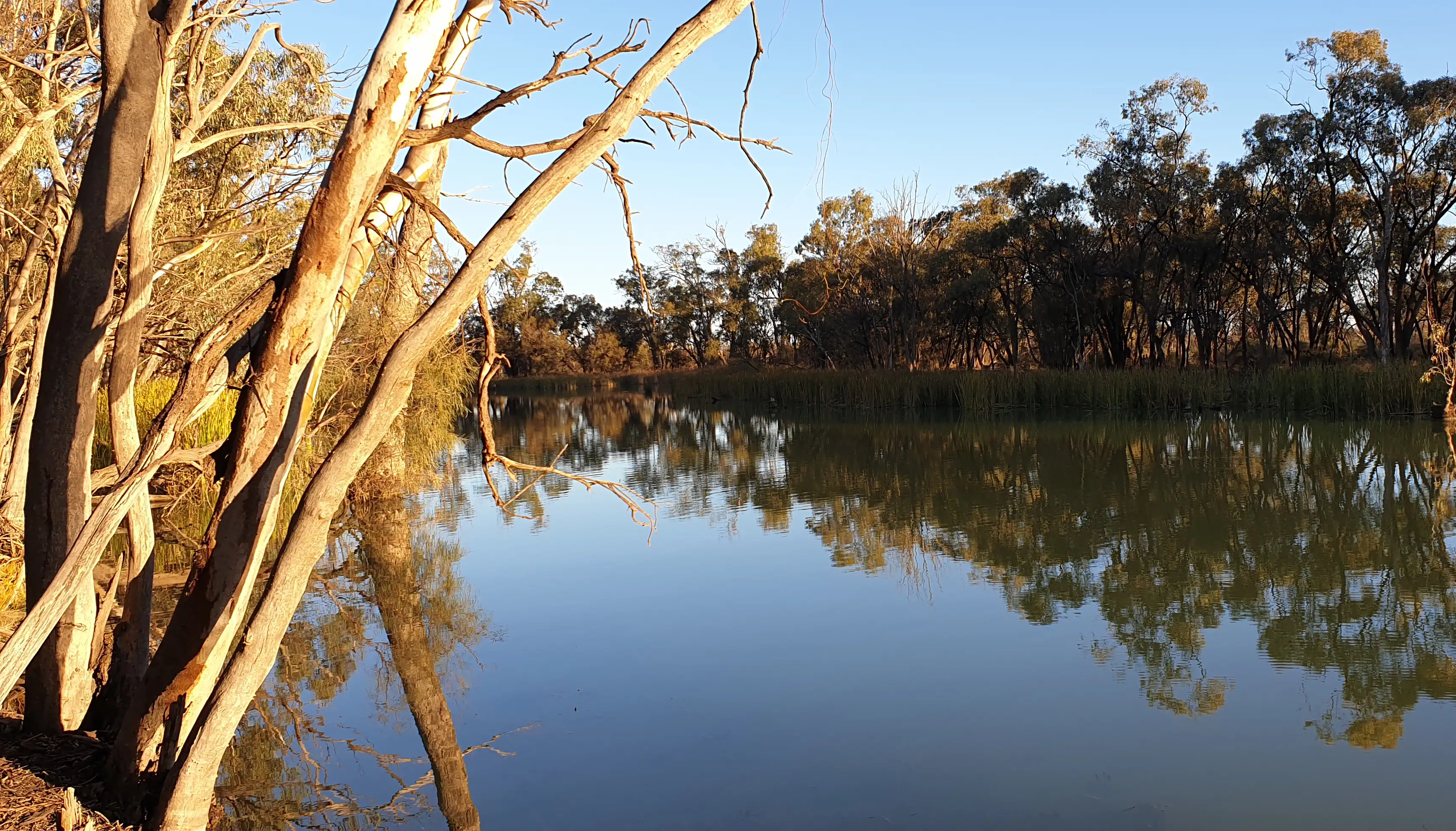 Kings Billabong, First Peoples of Millewa Mallee in the native title area