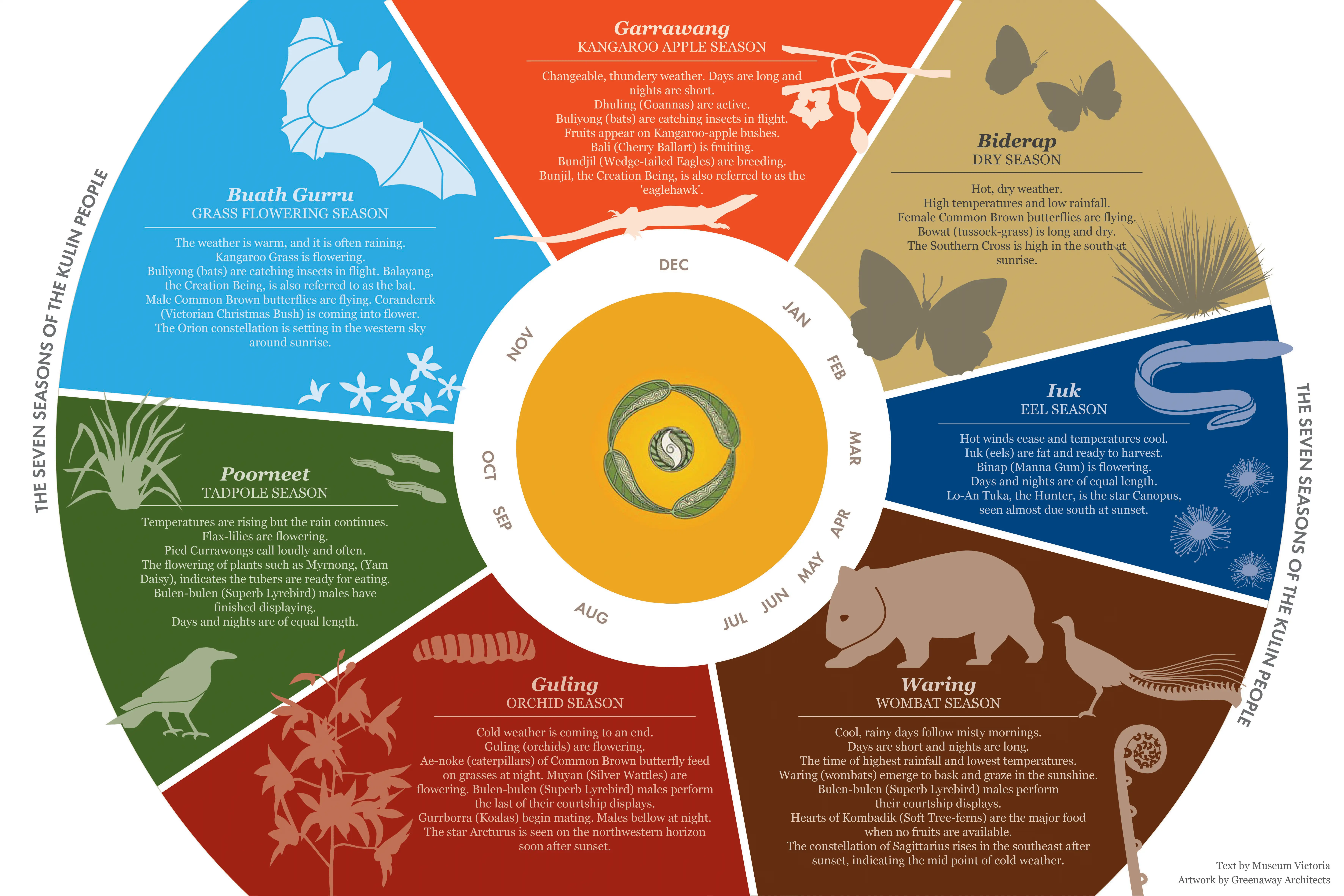 A graphic showing the seven seasons calendar of the Kulin Nation