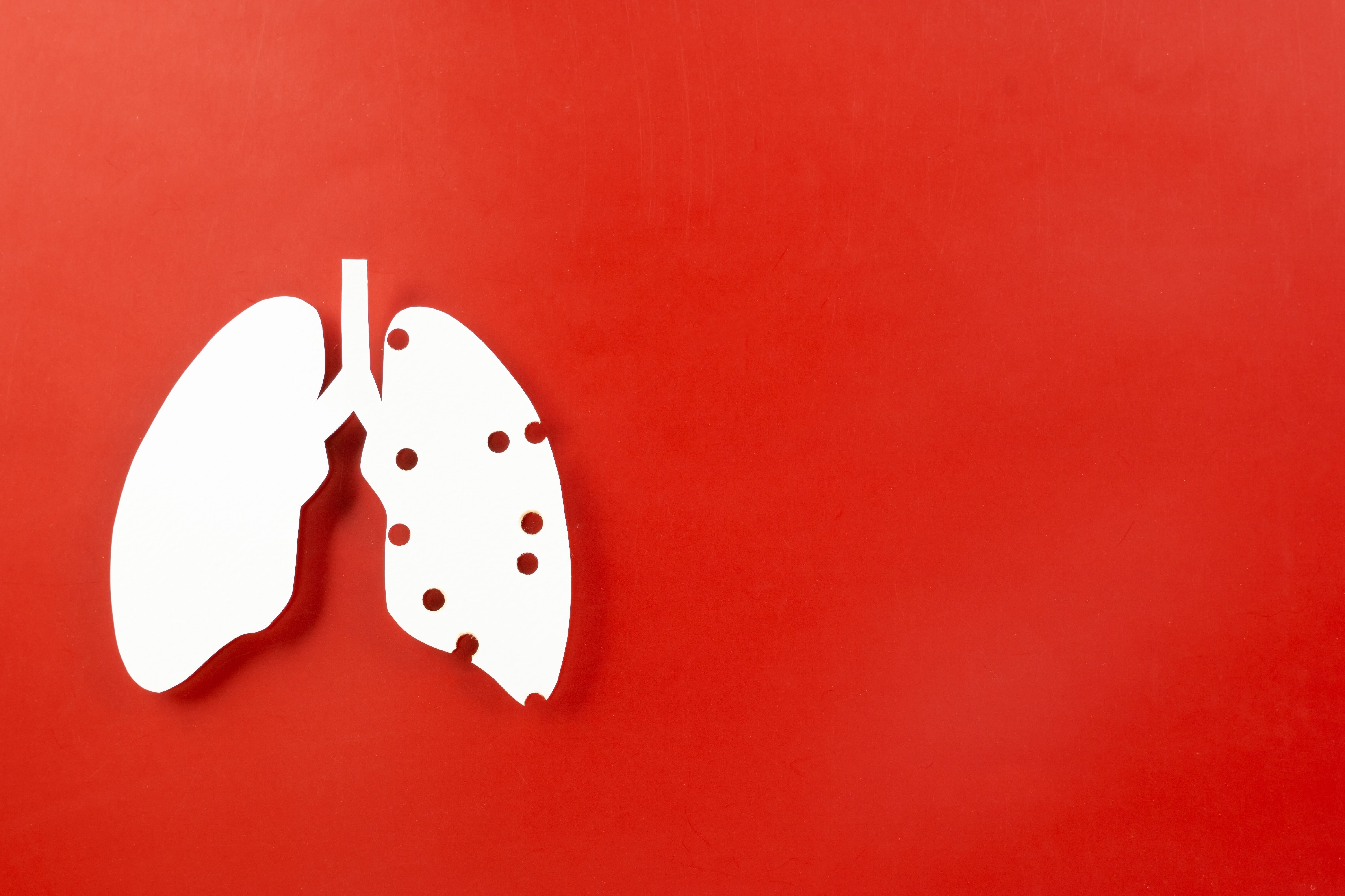 Lung with holes vector