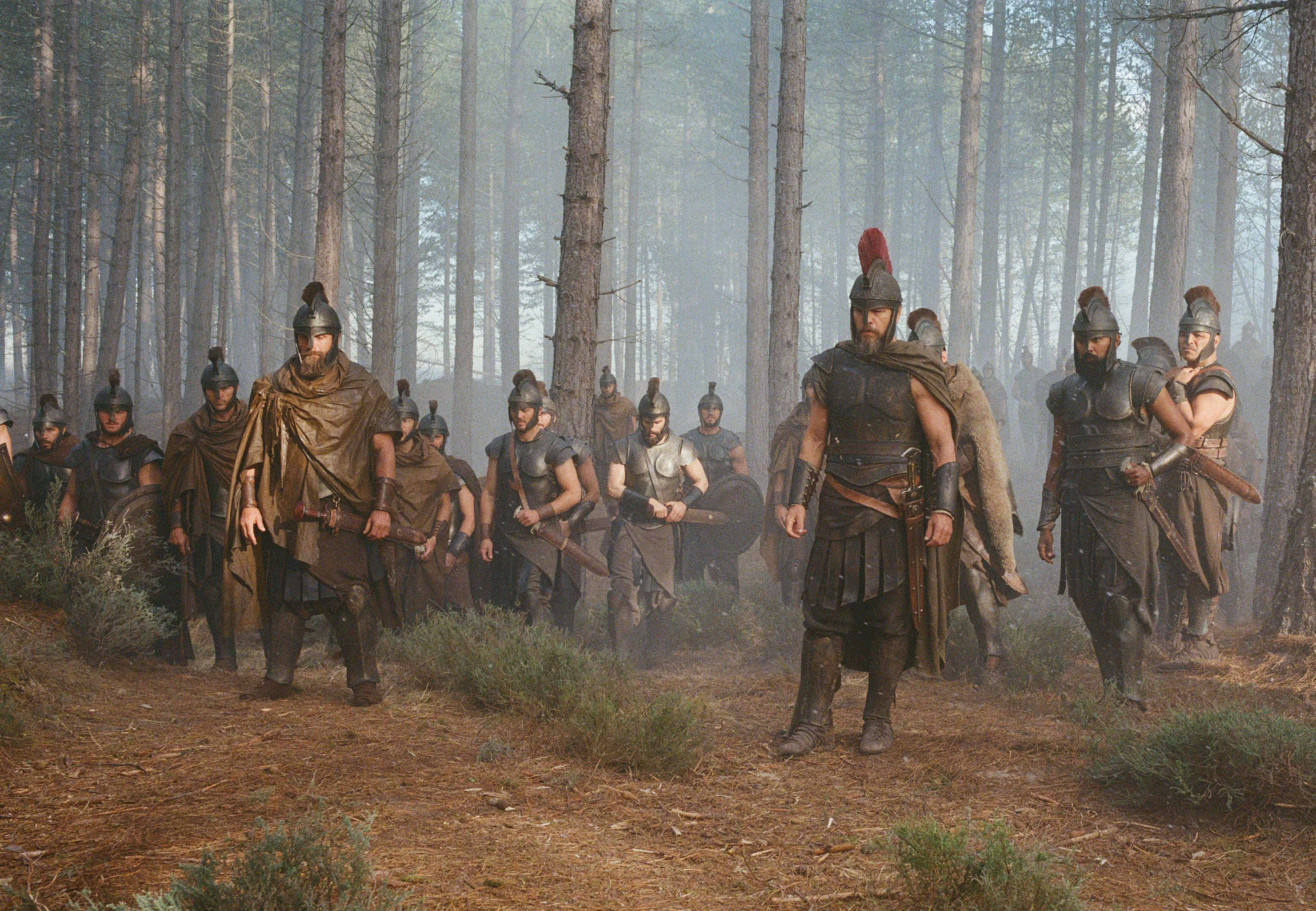 The cast of soldiers in a pine forest