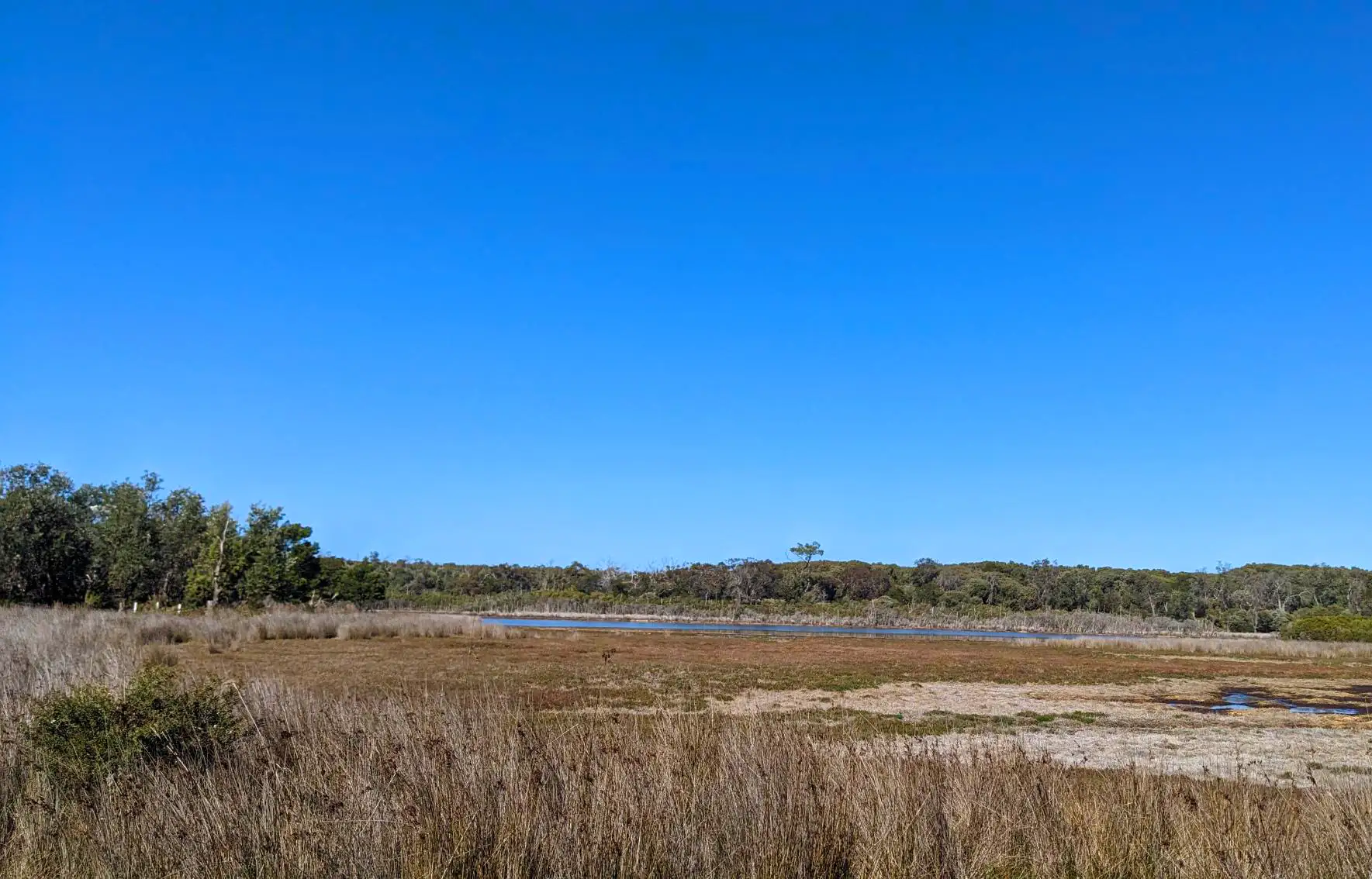 A picture of Balfour Swamp, an area in Ngarrywayt, also known as Sperm Whale Head