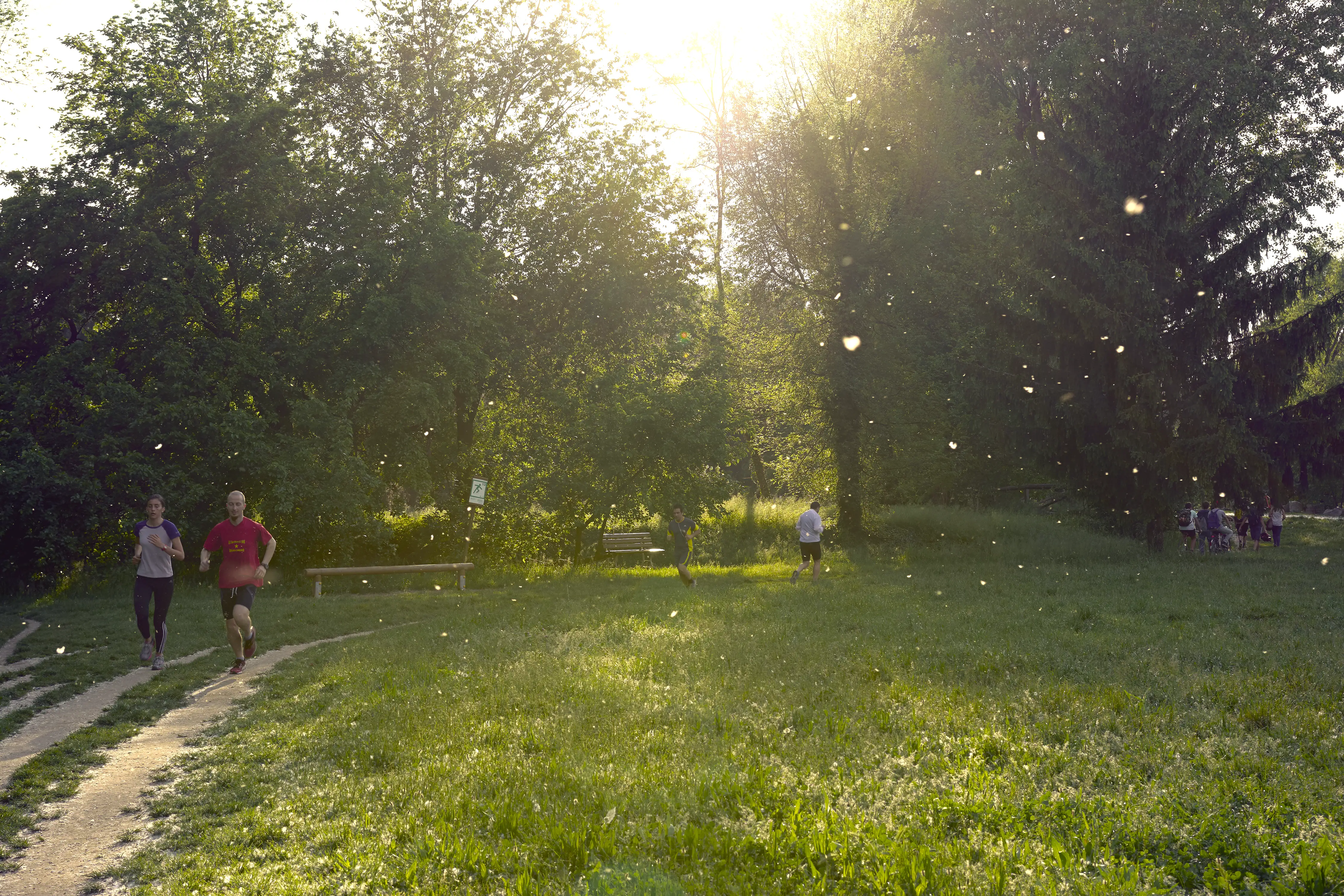 Pollen drifts through the air in a park with people jogging