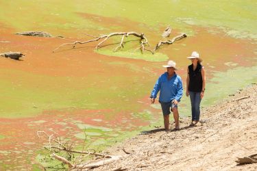 Australia’s media isn’t accurately reporting all sides of the Murray-Darling Basin debate thumbnail image