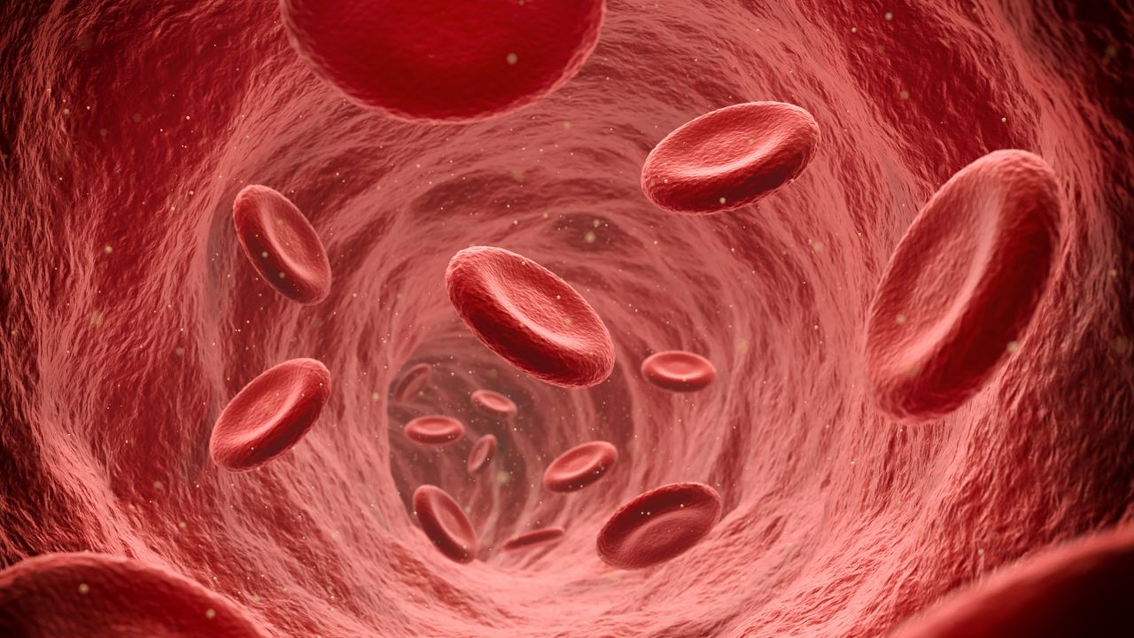 An unexpected find opens a new way to regulate blood pressure thumbnail image