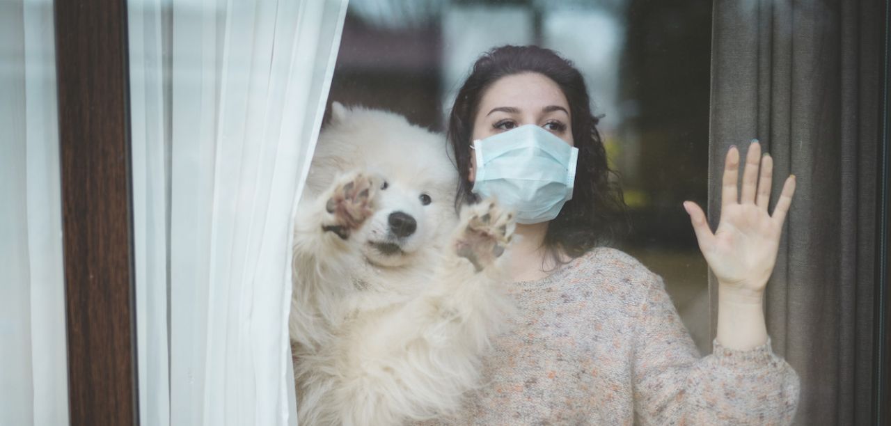 Life after the pandemic for your (new) pet thumbnail image