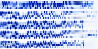 The simple, ethical case for gene editing thumbnail image