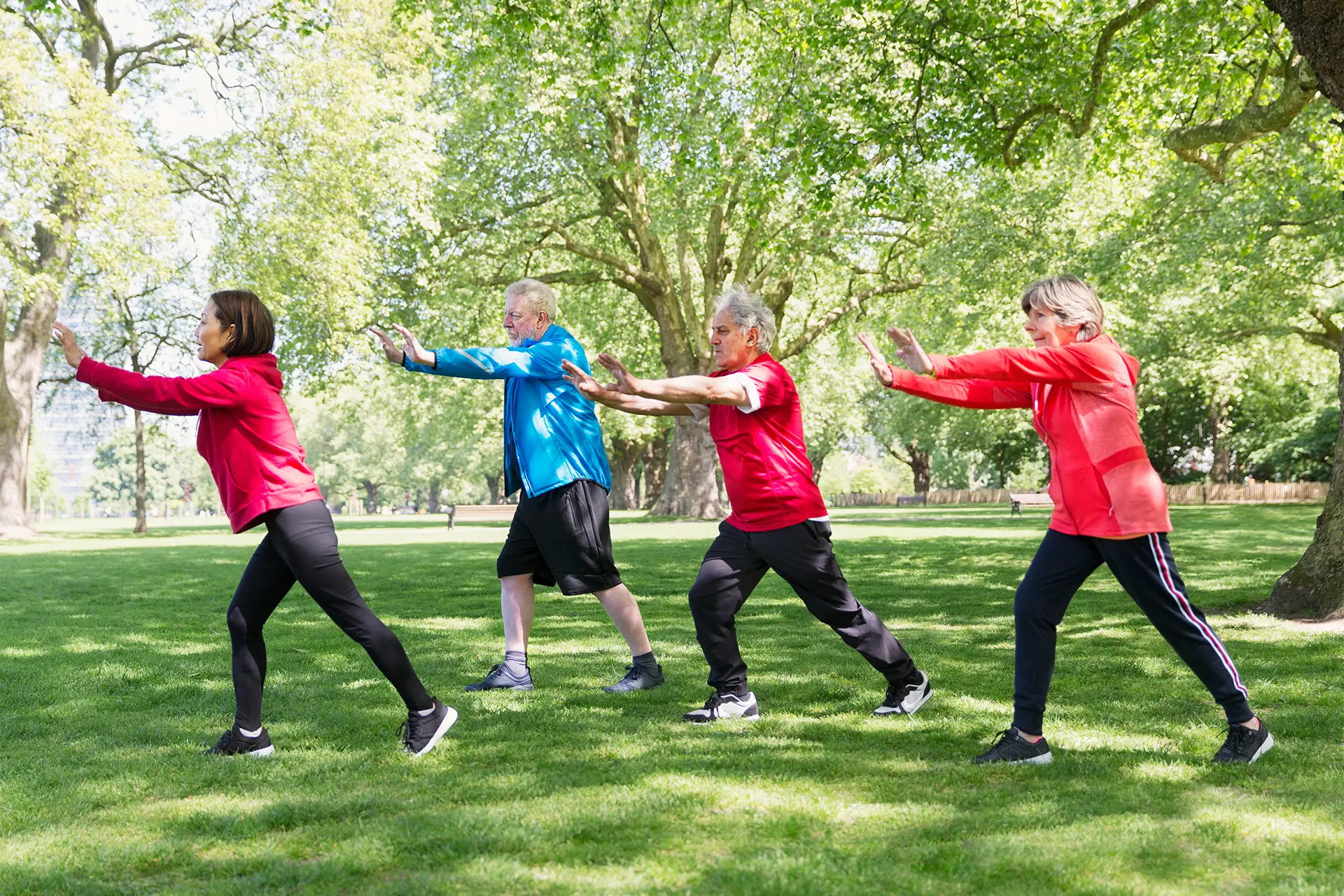 A group of elderly people practicing Tai Chi in a park