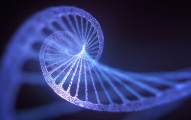 Silencing disease-causing genes thumbnail image
