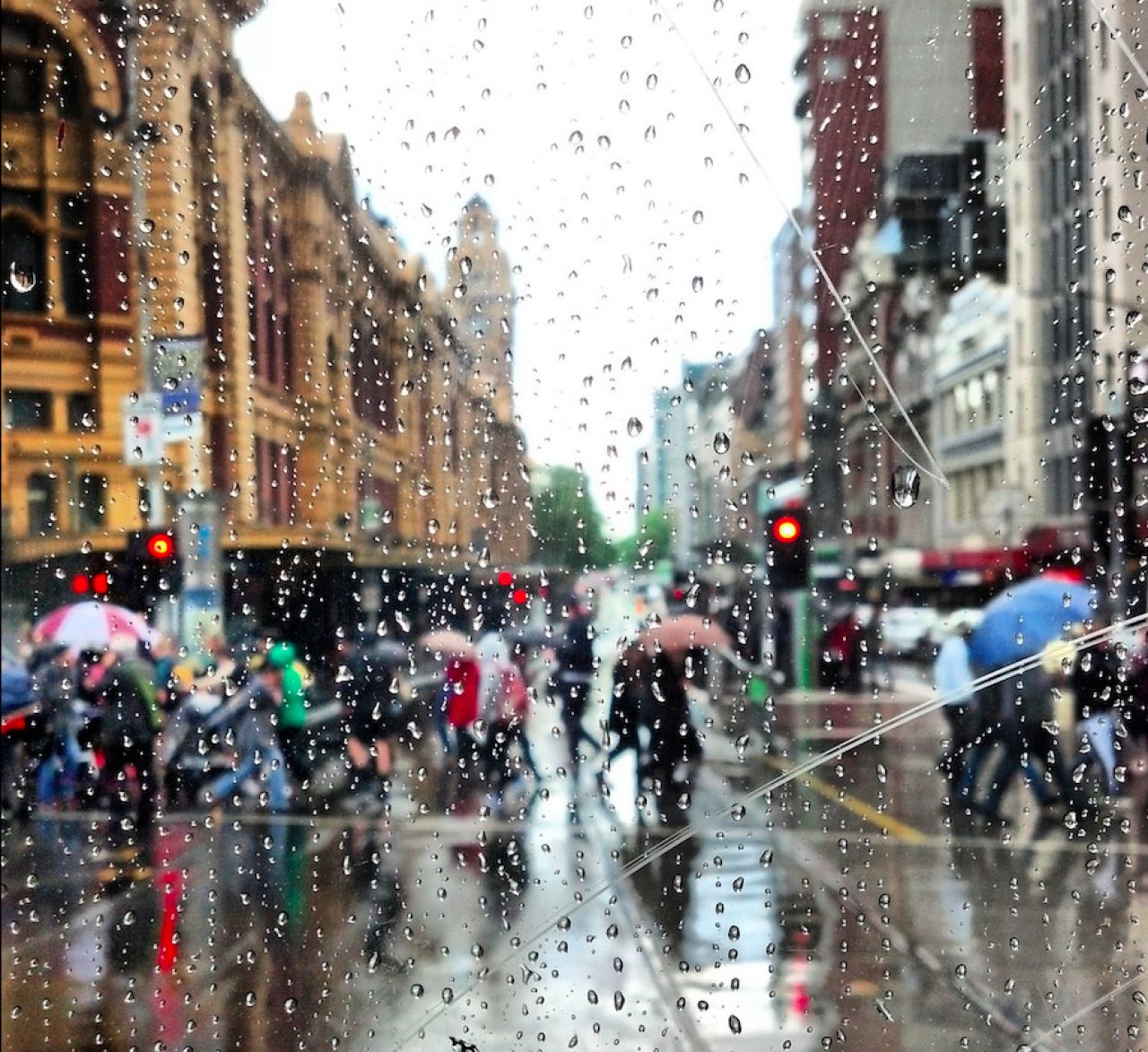 Does Melbourne’s rain occur in ‘lines’? thumbnail image