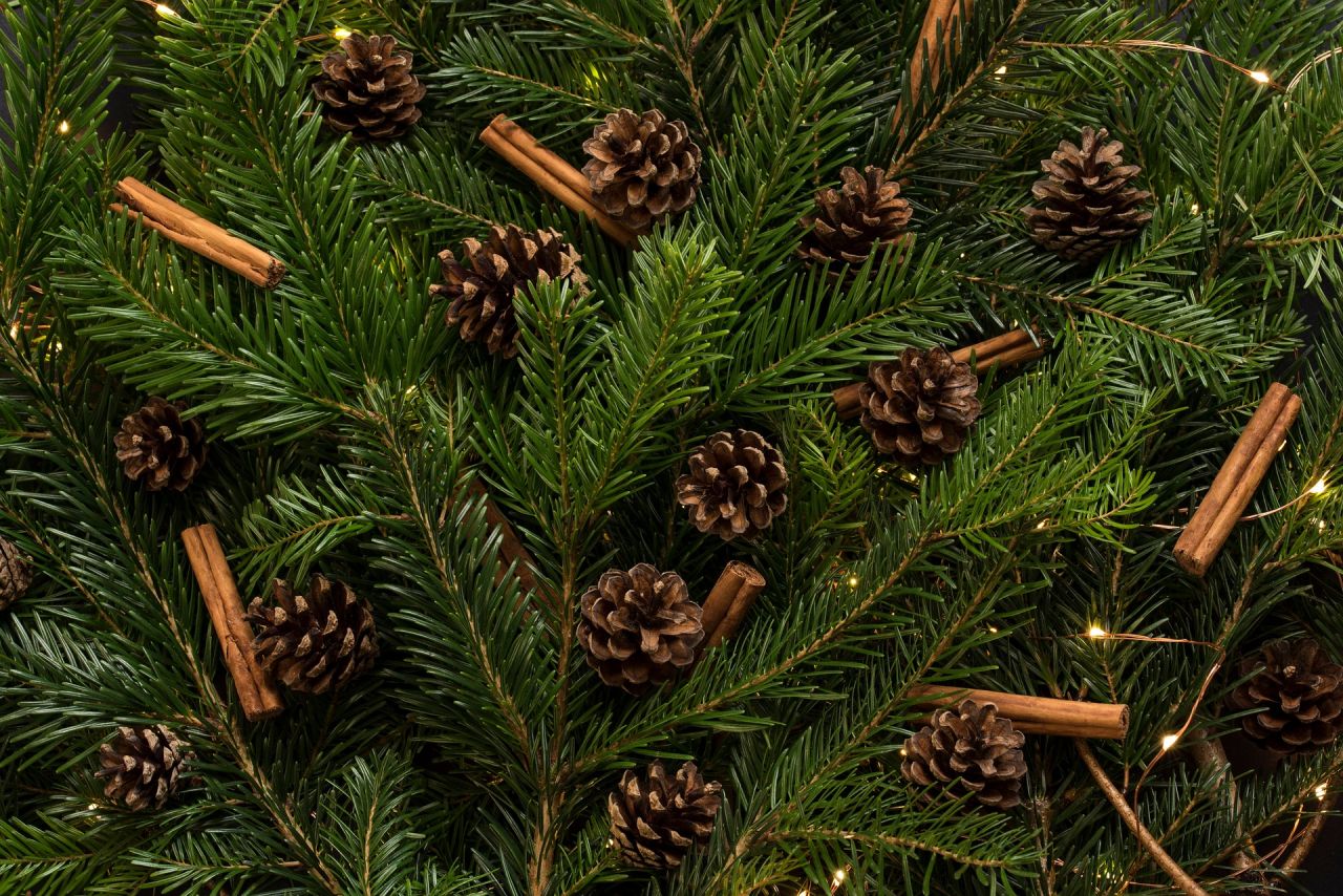 Going green: Are fake Christmas trees more eco-friendly than the real thing? thumbnail image