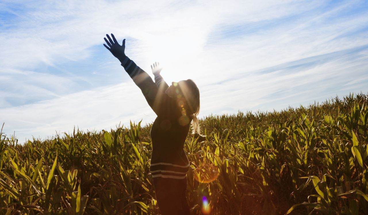 Can sunshine help your brain? thumbnail image