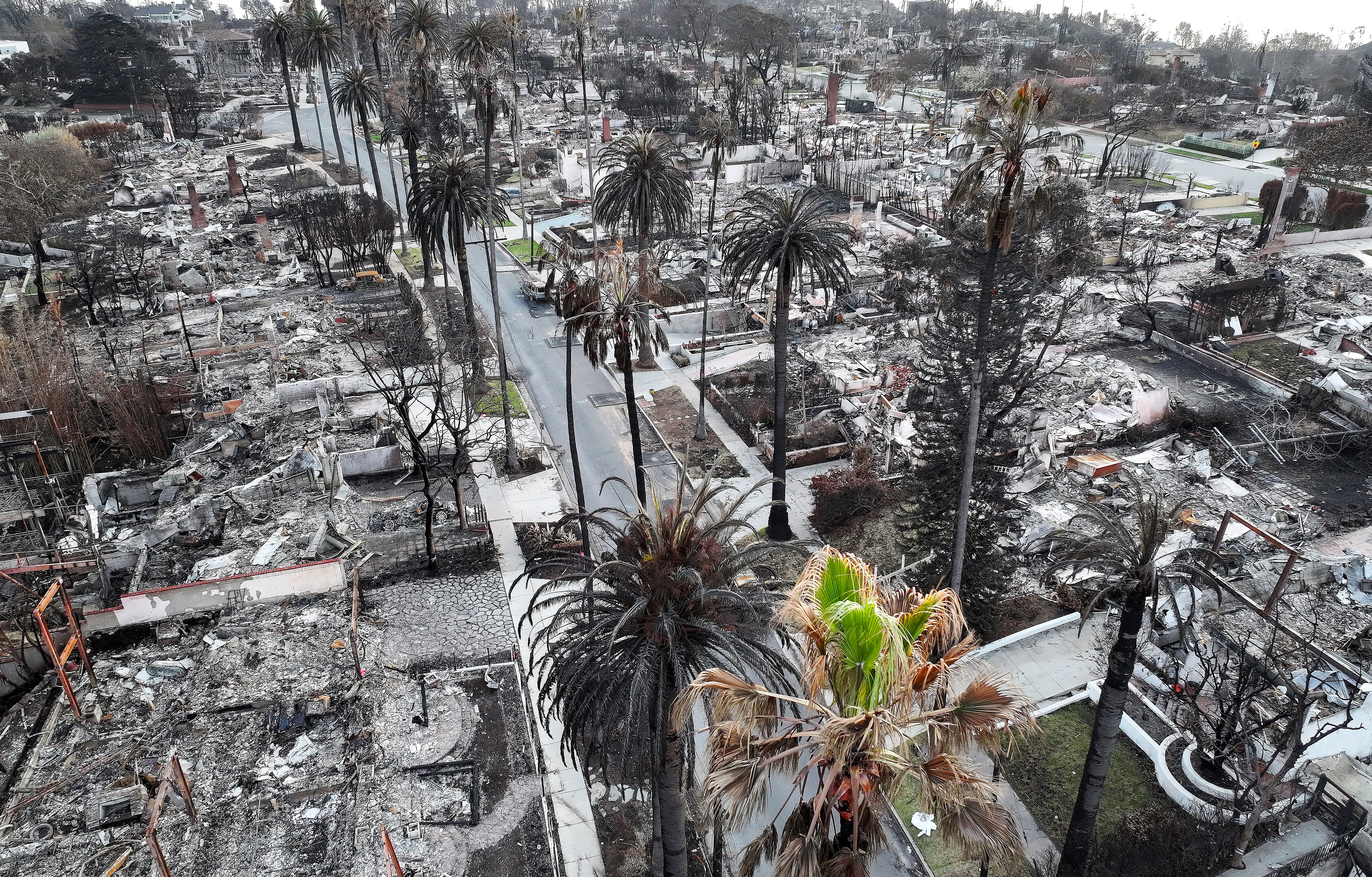 An aerial view of trees and homes which burned in the Palisades Fire on January 28, 2025.