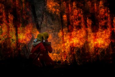 Facing the flames of complacency thumbnail image