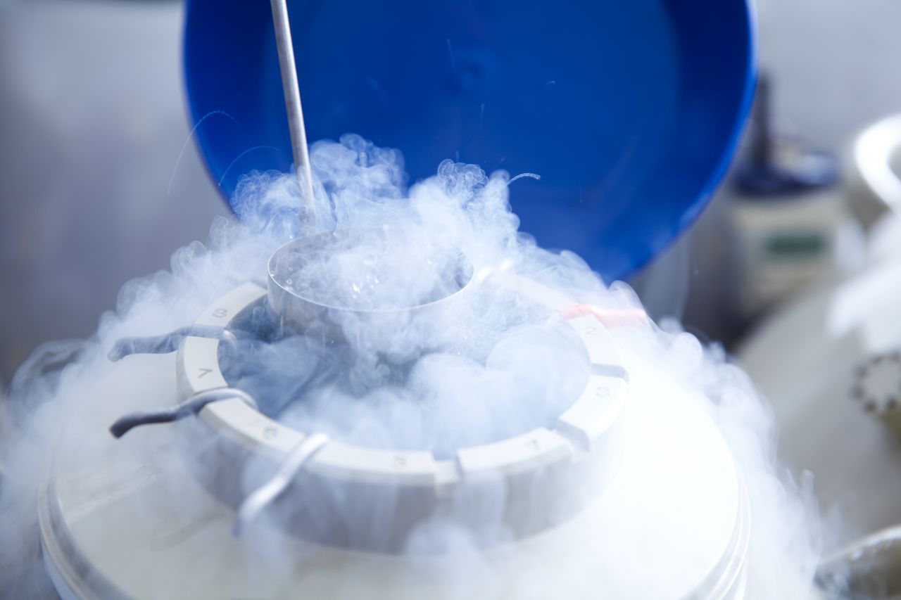 Freezing eggs for IVF: Waste not, want not thumbnail image