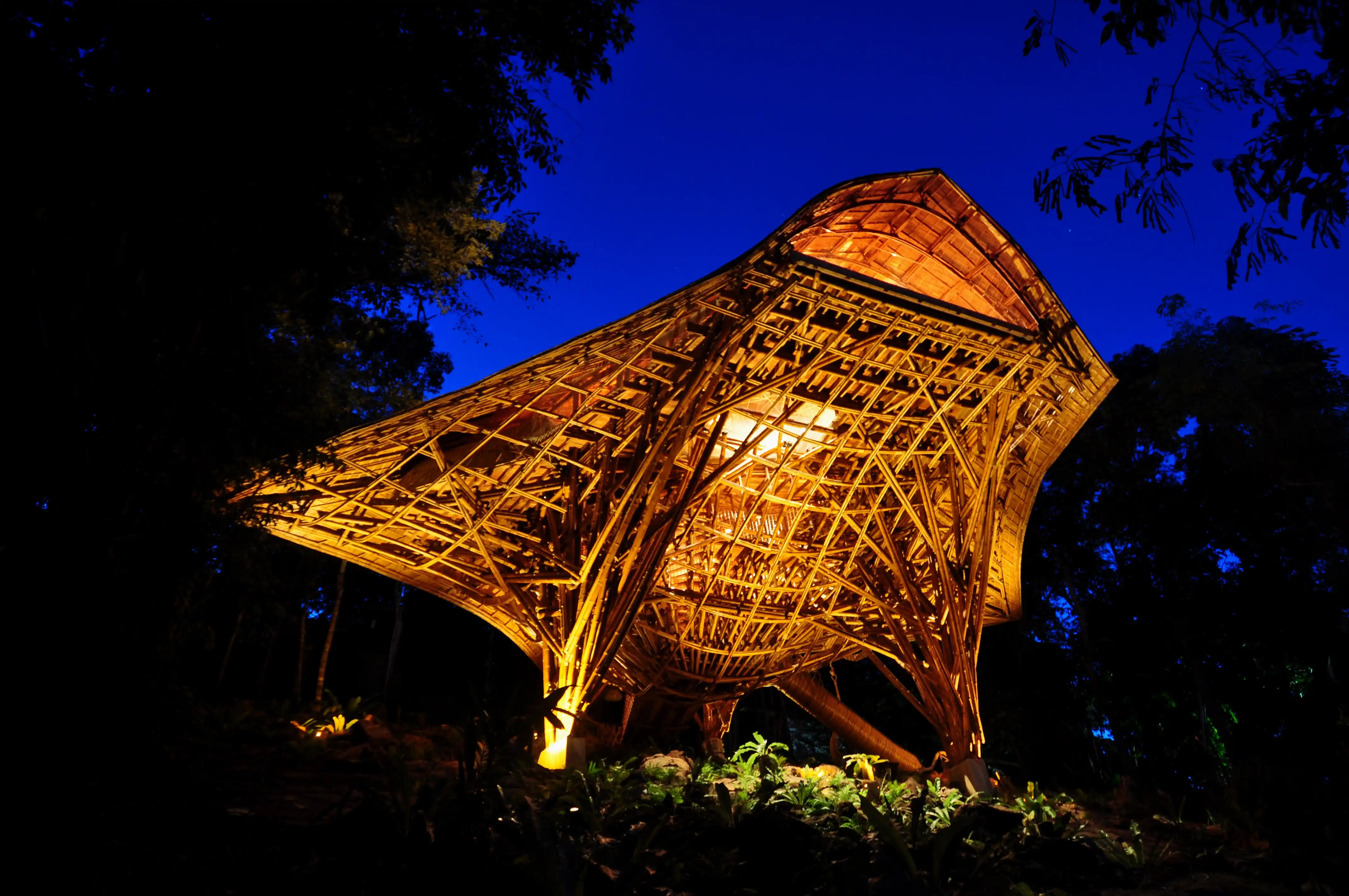 The Den at night towers as a large bamboo structure