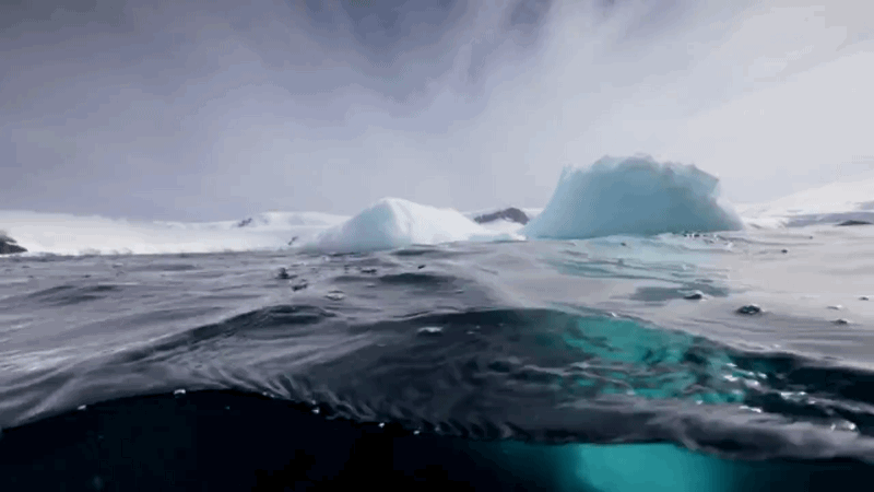 Antarctic ice floating on sea