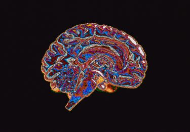 How our brain’s sensorimotor processing areas could flag psychosis risk thumbnail image