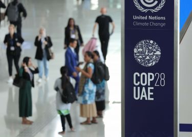 Getting the right money on the right terms at COP28 thumbnail image