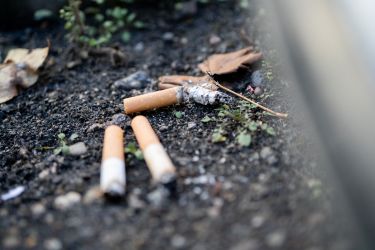 No butts about stopping tobacco damaging the environment thumbnail image