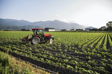 Smart fertilisers for food security thumbnail image