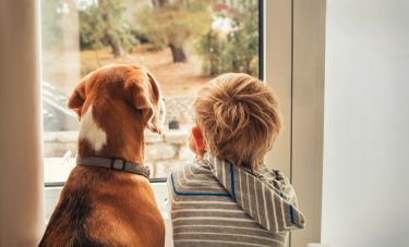 Making the link between family violence and animal abuse thumbnail image