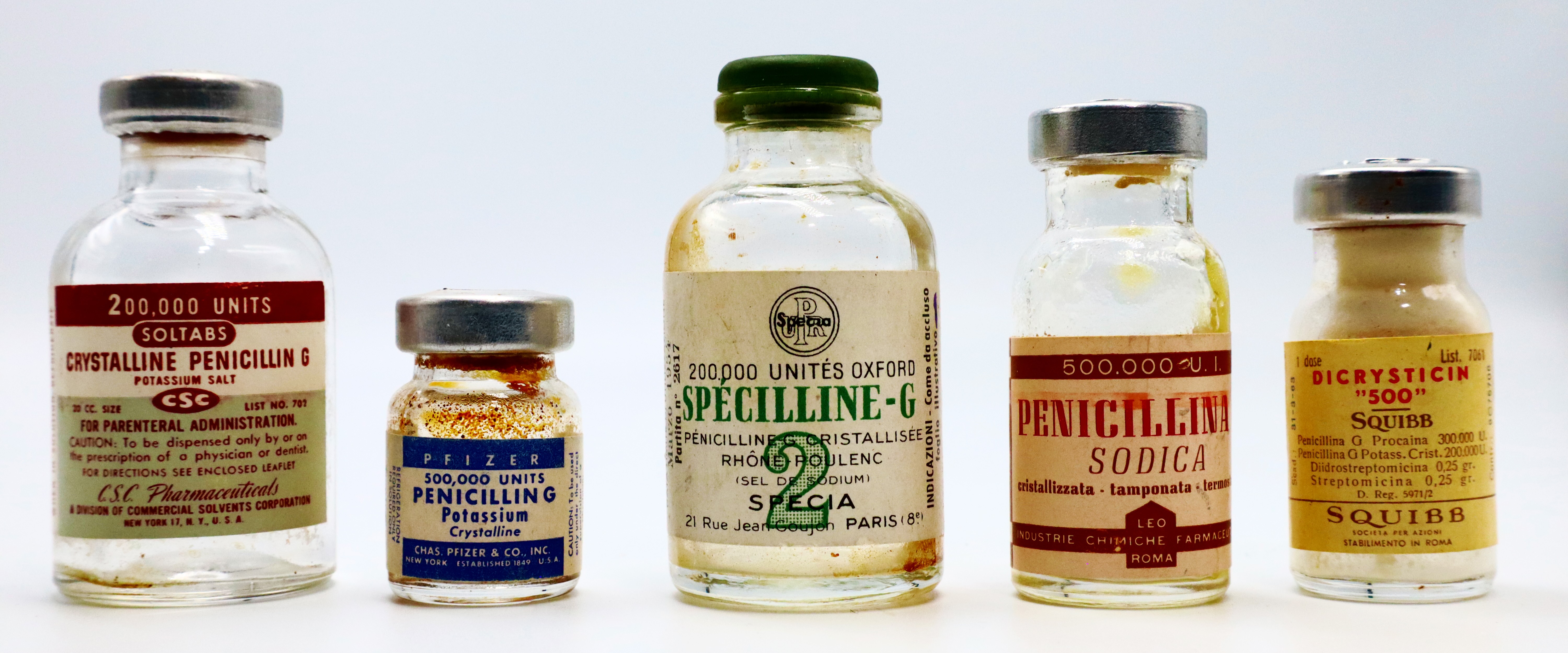 Ecoli dying from antibiotics