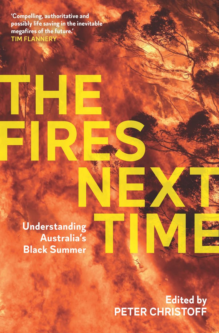 Black Summer showed we’re good in an emergency but bad in a crisis ...