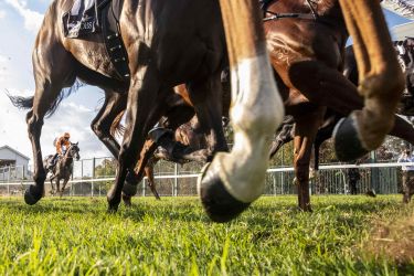 The biometric data that could predict racehorse injury thumbnail image