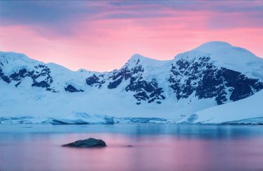 Fossil forests under Antarctic ice thumbnail image