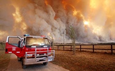 What does a wet spring mean for bushfire season? thumbnail image